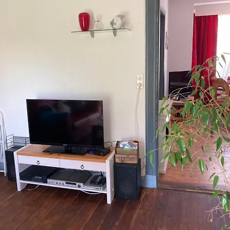 Apartment Moly
