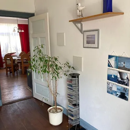 Apartment Moly